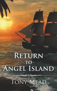 bokomslag Return to Angel Island