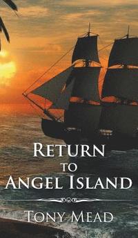 bokomslag Return to Angel Island
