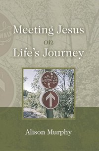 bokomslag Meeting Jesus on Life's Journey