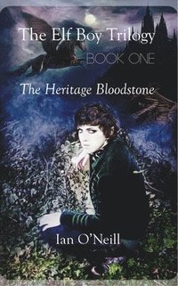 bokomslag The Elf Boy Trilogy, Book One: The Heritage Bloodstone