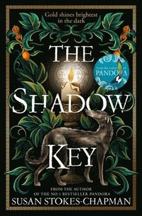 bokomslag The Shadow Key