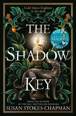 bokomslag Shadow Key