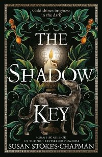 bokomslag The Shadow Key