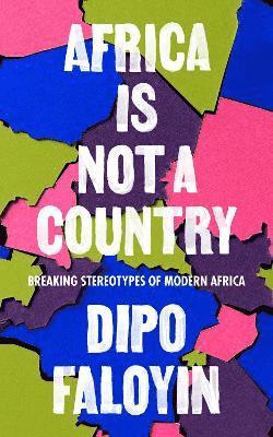 bokomslag Africa Is Not A Country:Breaking Stereotypes of Modern Africa