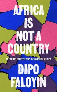 bokomslag Africa Is Not A Country: Breaking Stereotypes of Modern Africa