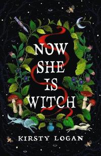 bokomslag Now She is Witch : ¿Myth-making at its best¿ Val McDermid