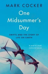 bokomslag One Midsummer's Day