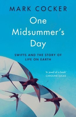 Mark Cocker - One Midsummer's Day : Swifts and the Story of Life on Earth, Inbunden