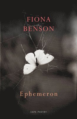 Ephemeron 1