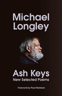 bokomslag Ash Keys
