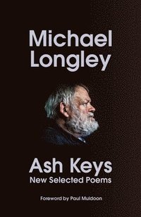 bokomslag Ash Keys: New Selected Poems