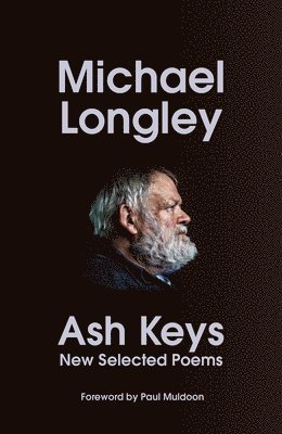 bokomslag Ash Keys