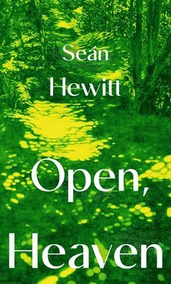 bokomslag Hewitt, S: Open, Heaven