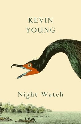 bokomslag Night Watch