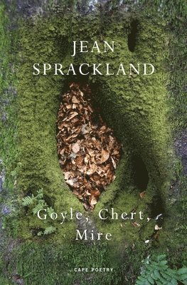 Jean Sprackland - Goyle, Chert, Mire, Häftad