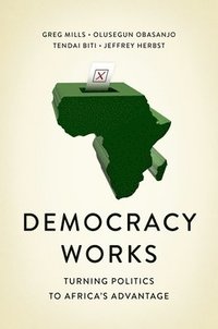 bokomslag Democracy Works
