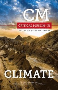 bokomslag Critical Muslim 31