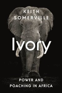 bokomslag Ivory