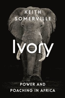 Ivory 1