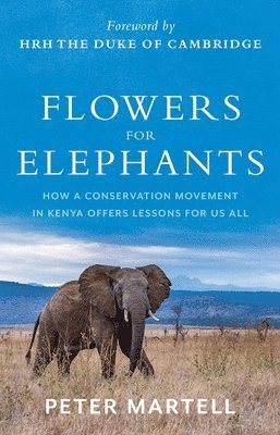 Flowers for Elephants 1