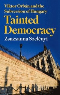 bokomslag Tainted Democracy