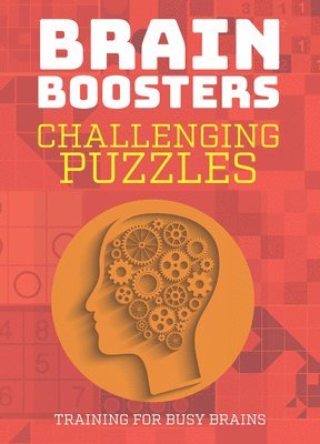 bokomslag Challenging Puzzles