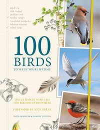 bokomslag 100 Birds to See in Your Lifetime