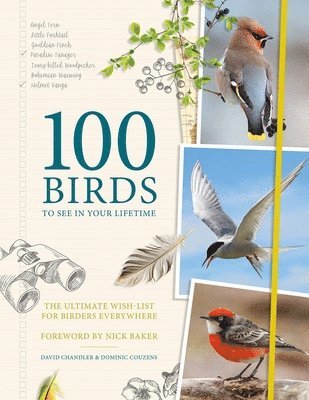 bokomslag 100 Birds to See in Your Lifetime