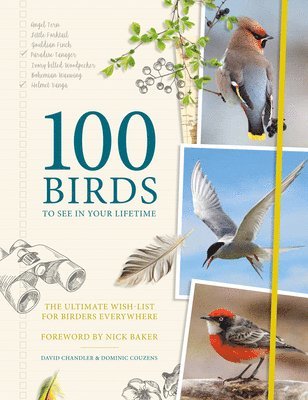 100 Birds to See in Your Lifetime 1