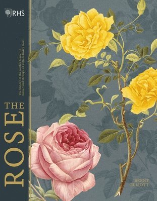 Brent Elliott - RHS The Rose, Inbunden