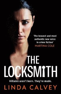 bokomslag Locksmith