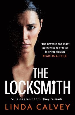 bokomslag Locksmith