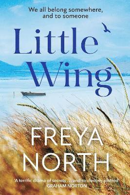 Freya North - Little Wing, Häftad