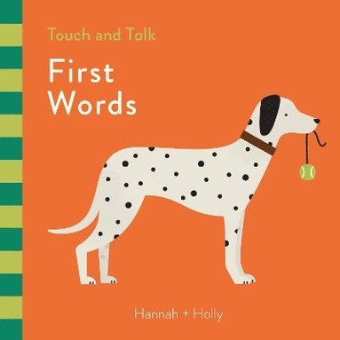 bokomslag Hannah + Holly Touch and Talk: First Words