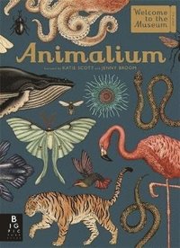 bokomslag Animalium