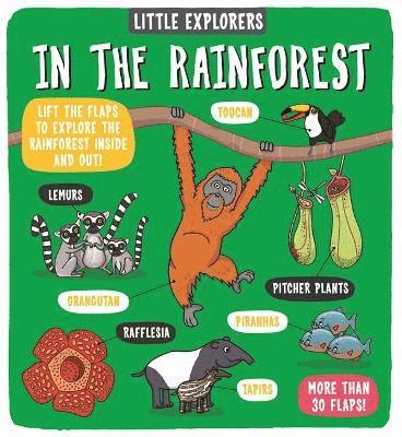 bokomslag Little Explorers: In the Rainforest