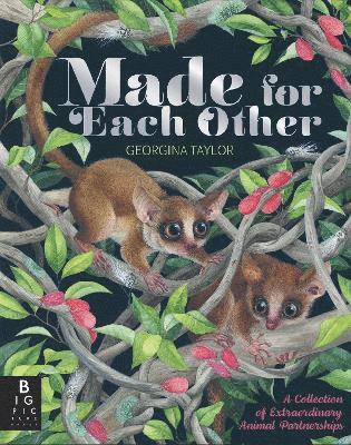 Joanna McInerney - Made for Each Other, Inbunden