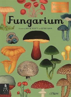 Fungarium 1