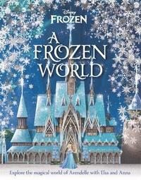 bokomslag Disney: A Frozen World