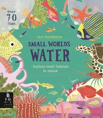 Small Worlds: Water 1