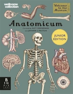 bokomslag Anatomicum Junior