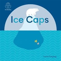 bokomslag Eco Baby: Ice Caps