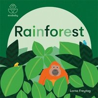 bokomslag Eco Baby: Rainforest