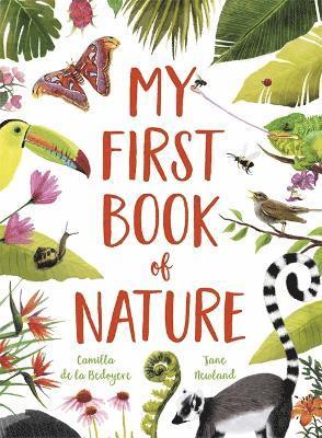 My First Book of Nature 1