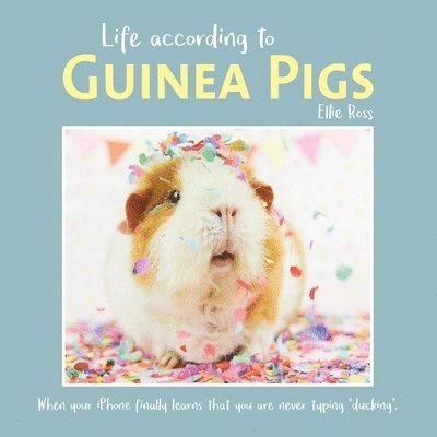 Life According to Guinea Pigs 1