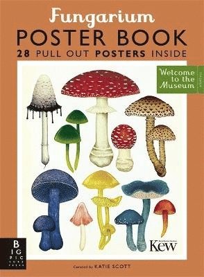 bokomslag Fungarium Poster Book