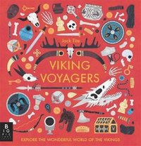 bokomslag Viking Voyagers