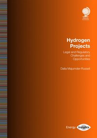bokomslag Hydrogen Projects