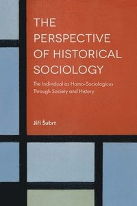 bokomslag The Perspective of Historical Sociology