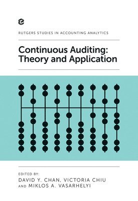 bokomslag Continuous Auditing